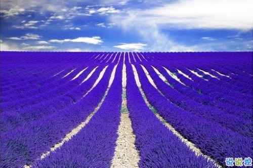 愛錯了人換來一身傷痕的說說大全 親身經(jīng)歷愛情得到的經(jīng)典傷感說說4