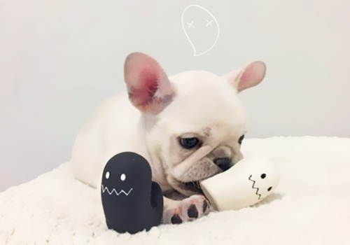 可以戳中中你笑點的搞笑說說帶圖片12