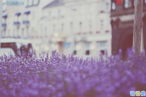 比較有詩意的愛情說說帶點(diǎn)傷感 傷感句子合集能走入女孩子內(nèi)心5