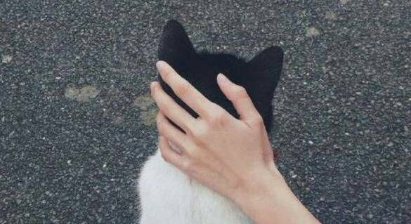 人生旅途中鼓舞你的很勵(lì)志的正能量說說帶圖片4