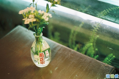 簡簡單單很干凈的愛情說說帶圖片 該留下來的人總會一直在的4