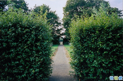 抖音最火經典說說致自己 最新個人說說經典勵志帶圖片8