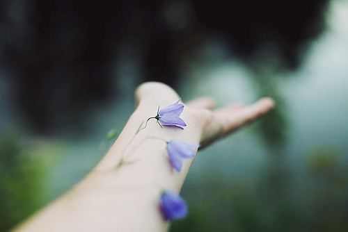 很勵(lì)志的正能量說(shuō)說(shuō)帶圖片 我有孤勇一腔起于星光止于他鄉(xiāng)10