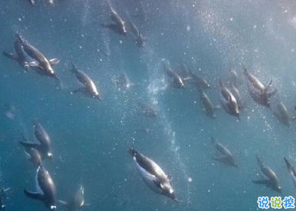 致自己的一句話個(gè)性說說帶圖片 想要訴說自己心情的說說5