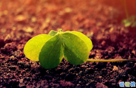 表示無聊的朋友圈說說帶圖片：無聊，是人生的一種正?，F(xiàn)象11