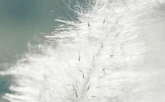 在夢(mèng)里也會(huì)潸然淚下的說說帶圖 如果時(shí)光倒流峩捫能抓得住什么8