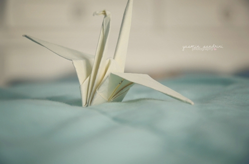 超甜蜜的戀愛(ài)中的小情侶適合發(fā)的愛(ài)情說(shuō)說(shuō)帶圖片 寫盡千山落筆是你15