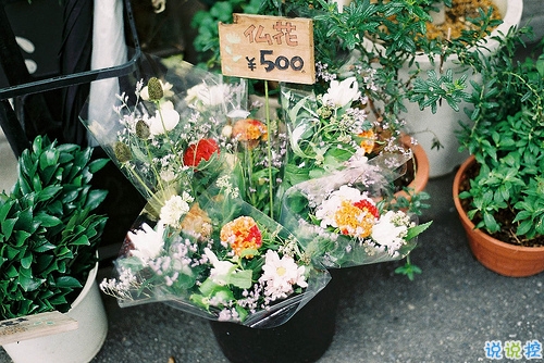 充滿少女心的浪漫愛情說說帶圖片 好聽簡約有詩意的說說合集12