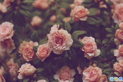 愛錯了人換來一身傷痕的說說大全 親身經(jīng)歷愛情得到的經(jīng)典傷感說說7