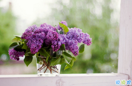 失落的晚安說(shuō)說(shuō)帶圖片 傷感一句話(huà)晚安說(shuō)說(shuō)配圖7