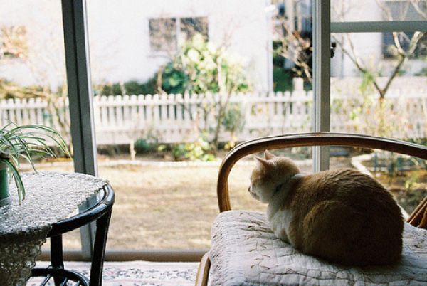 關(guān)于愛情的甜蜜小句子帶圖片 我忘記誰都不能忘記那個(gè)夏天的你12