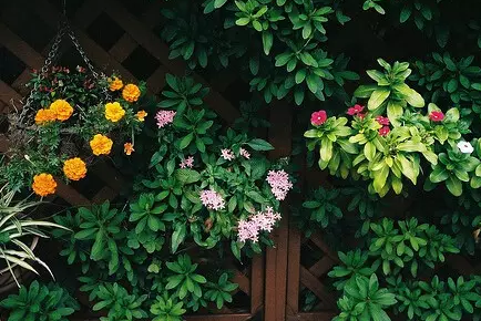 2018最新寫(xiě)給傻傻的自己配圖 傻傻的話(huà)寫(xiě)給自己一段話(huà)圖片11