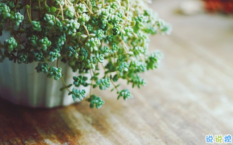 2018失戀的句子說說心情配圖 你永遠(yuǎn)也看不到我最寂寞時候的樣子15