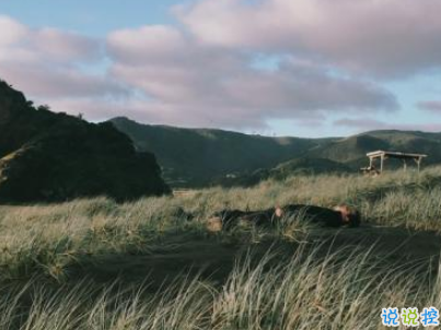 秀恩愛的優(yōu)雅句子簡(jiǎn)單好聽配圖 我的心為你跳動(dòng)5