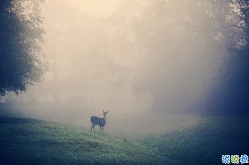 不敢再愛了的傷感說說帶圖片 愛情吃了虧的經(jīng)典傷感說說配圖14