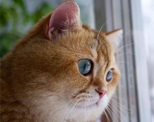 可以戳中中你笑點的搞笑說說帶圖片6