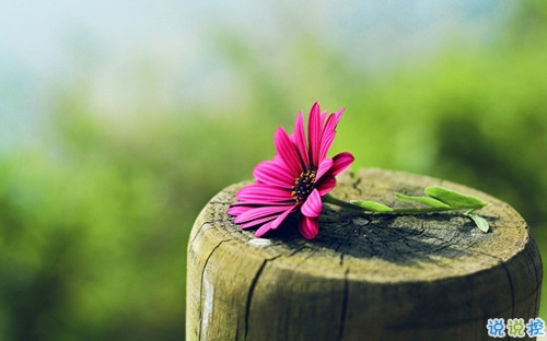 2019二月第一天怎么發(fā)朋友圈 2019二月微信正能量早安說(shuō)說(shuō)1