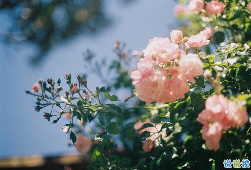 簡單美好的個性說說超級暖心 2019請多指教1