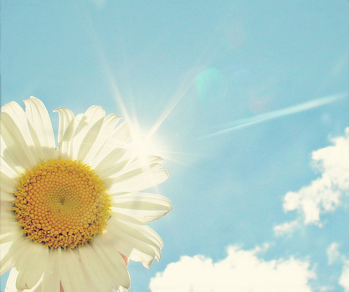 關(guān)于讀書閱讀的哲理精辟有道理的說說帶圖片9