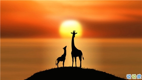 姑娘，我有15句悄悄話說給你聽。5