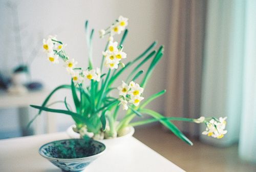 關于人生生活還有成長的有哲理內涵精辟的說說帶圖片4