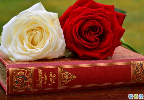 2019復(fù)活節(jié)朋友圈祝福語大全 復(fù)活節(jié)微信經(jīng)典語錄2