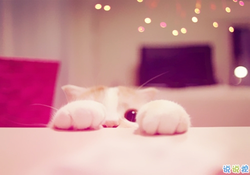 萌萌噠的可愛說說 惹人喜歡必評的可愛說說精選1