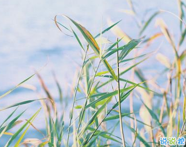 2019形容天氣熱的幽默說說帶圖片 酷暑難耐的搞笑說說3