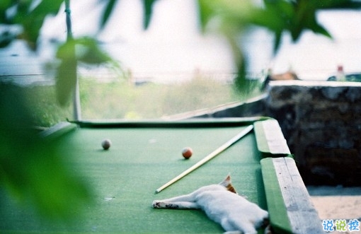 2019豬年除夕祝福語(yǔ)說(shuō)說(shuō)簡(jiǎn)短 致所有人的豬年暖心祝福2