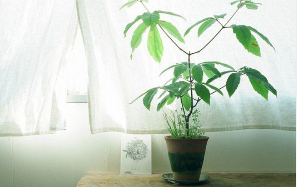 關(guān)于愛情的甜蜜小句子帶圖片 我忘記誰都不能忘記那個(gè)夏天的你6