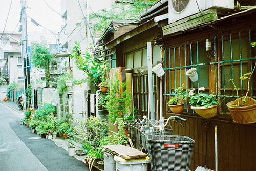 致自己的經(jīng)典哲理句子 很有道理的早安心語(yǔ)句子2