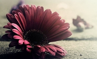 在夢(mèng)里也會(huì)潸然淚下的說說帶圖 如果時(shí)光倒流峩捫能抓得住什么1