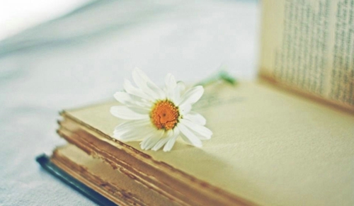 溫暖正能量的勵(lì)志說(shuō)說(shuō)帶圖片 祝你萬(wàn)事勝意一切都比你想象的還要好一點(diǎn)13