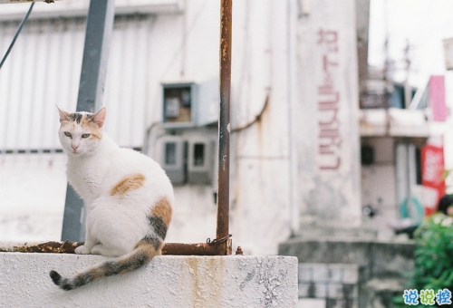天氣冷溫暖人心的說(shuō)說(shuō)精選 下雪天的治愈系暖心說(shuō)說(shuō)一句話2