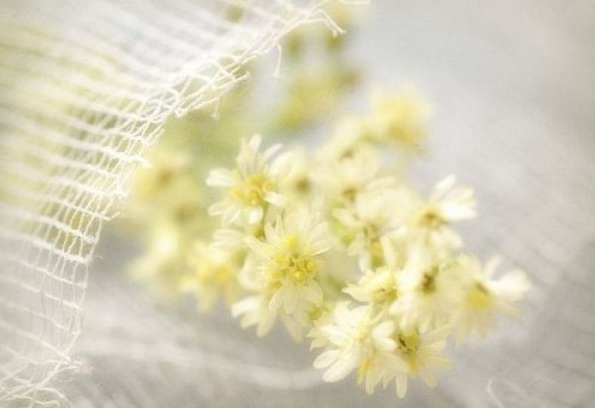 電影電視劇中會(huì)出現(xiàn)的唯美經(jīng)典的韓文說(shuō)說(shuō)11