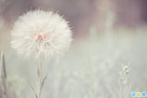 qq霸氣女生超酷說說大全 雙重人格超酷的個(gè)性說說6