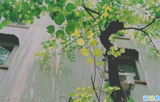 表達(dá)愛(ài)意的唯美句子配圖 肯定能打動(dòng)你心的唯美說(shuō)說(shuō)帶圖片15