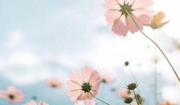 七月早安正能量勵志哲理說說帶圖 早安！七月！14