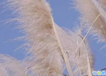 壓抑著自己的傷感說說帶圖片 很煩躁很失落的說說精選15