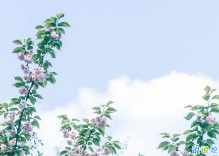 說到心坎的傷感說說帶圖片戳中你的內(nèi)心 失落又心痛發(fā)朋友圈說說精選4