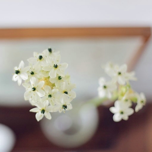 很勵(lì)志正能量的早安心語(yǔ)說(shuō)說(shuō)帶圖片14