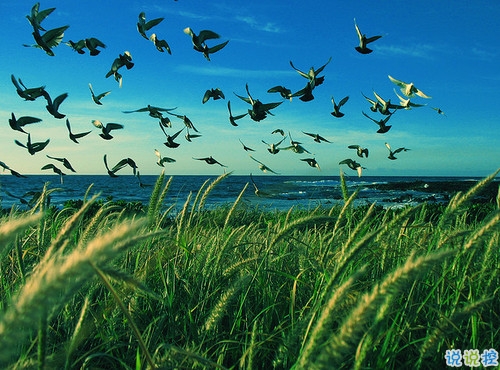 鼓舞人心的經(jīng)典說說帶圖片 朋友圈點贊超多的經(jīng)典說說2