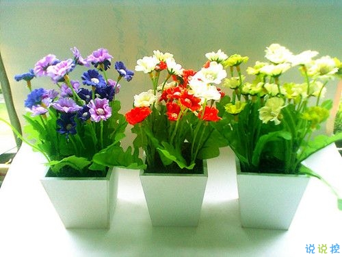 2019關于春分的微信說說帶圖片 春分節(jié)氣早安祝福語15