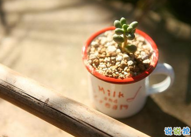 2019最流行的唯美傷感說說 有一個(gè)人總能讓你牽腸掛肚2