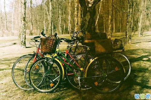 帶圖片的勵志說說人生感悟 別辜負了你的野心也別對不起你受的苦3