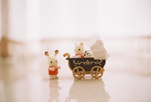 唯美浪漫的說說帶圖片 最美好的事情就是抬頭遇見了你12