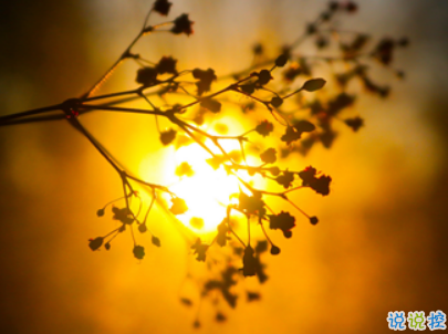 2019復(fù)活節(jié)祝福語(yǔ)英文大全帶翻譯配圖 復(fù)活節(jié)快樂(lè)說(shuō)說(shuō)致所有人9