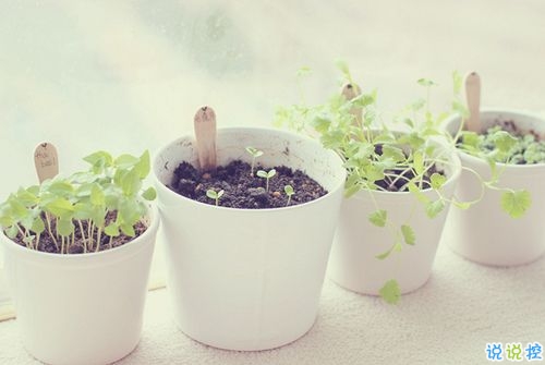 最近特別流行的個(gè)性說說大全 獨(dú)一無二的朋友圈個(gè)性說說20191