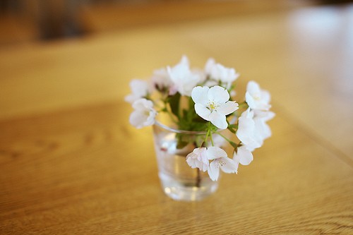 很含蓄唯美的藏頭詩說說帶圖片文字控會(huì)很喜歡1