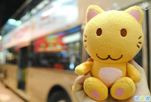 2019愚人節(jié)表白句子大全帶圖片 四月一日愚人節(jié)表白情話3